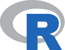 r language